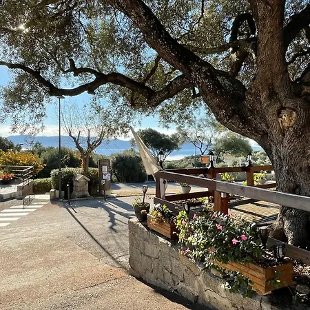 Apartment Piscine Di Ferro Serra-di-Ferro (Corsica)